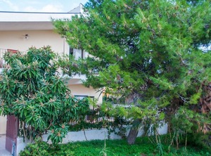 Casa Avola | Avola