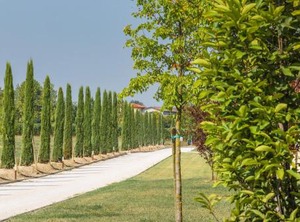 Tenuta La Borghetta | San Benedetto di Lugana