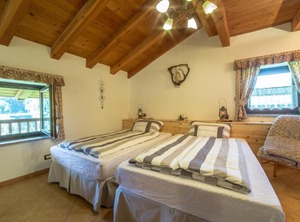 Chalet Ad Lignum | Allein