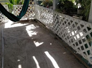 Chapito | Caye Caulker