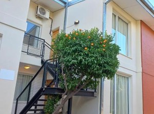 Colorina Complejo Residencial | San Rafael