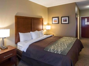 Comfort Inn Red Oak | Red Oak