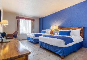 Comfort Inn Tampico | Tampico
