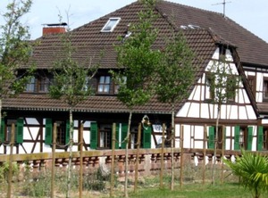 Comfort Goldner Engel Restaurant Hotel Butcher | Laudenbach