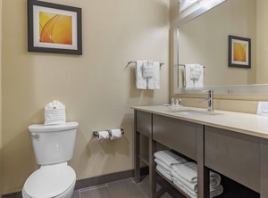 Comfort Suites North West Houston At Beltway | Barker