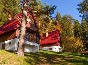 Cottage Of Lipno | Karlovy Dvory