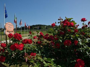 Country Resort Il Frassine | Rignano sull'Arno
