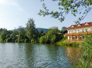 Am Hohen Bogen Arrach | Arrach