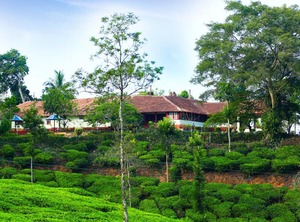 Bungalow | Kottappadi part