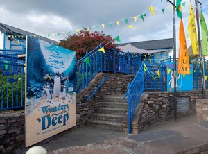 Dingle Harbour Cottages | Dingle