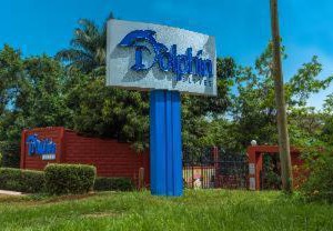 Dolphin | Bugolobi