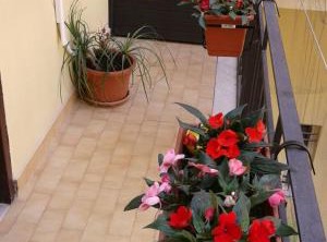 Domus Cicerone | Formia