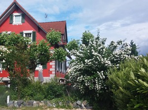 Hagnau Bodensee Lhs | Hagnau