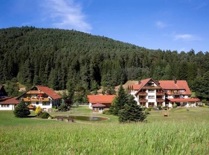 Landhaus Mühlengrund Baiersbronn Lhs | Tonbach