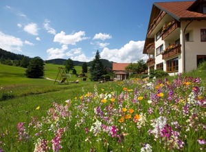 Landhaus Mühlengrund Baiersbronn Lhs | Tonbach