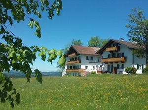 Cat Nights Vitalhotel Sonnen | Sonnen