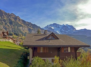 Drei Tannen | Wengen