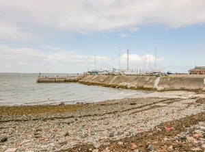 Driftwood Roa Island | Barrow-in-Furness