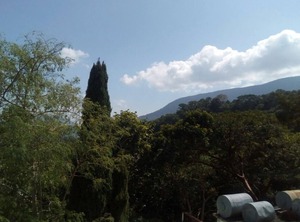 Eco Hotel El Refugio The Mountains Sea | Pluma Hidalgo