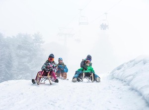 Edelweiss Mountain | Flims