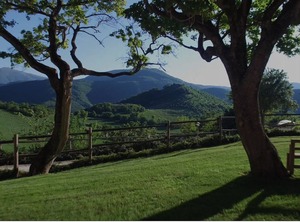 Farmhouse Immersed Setting Of The Montefeltro | Acqualagna