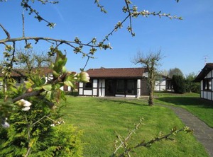 Ferienhaus Scout | Hollern