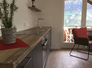 Erikas Haus Münstertal Lhs | Munstertal