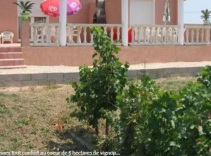 Gite The Heart Of Hectares Vineyard | Saint-Laurent-de-la-Salanque