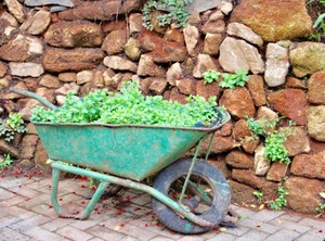 Granny Dots Country Spot | Tzaneen
