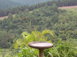 Granny Dots Country Spot | Tzaneen