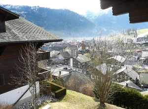 Hübeli Chapman | Zweisimmen