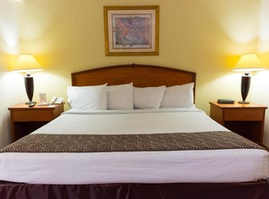 Hafersons Inn Hotel | Ciudad Madero