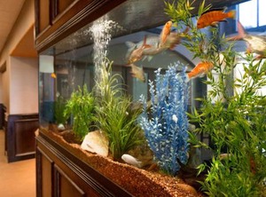 Hampton Inn Suites Pharr | Pharr