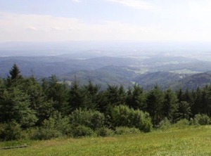 Haus Burgblick Badenweiler | Badenweiler