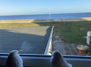 Hagelstein Bernstein | Dahme