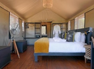 Mogotlho Safari Lodge | Maun