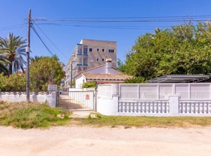 Hipocampo | Denia