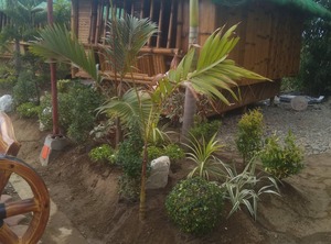 Hiribaco Resort Residences | Lucap