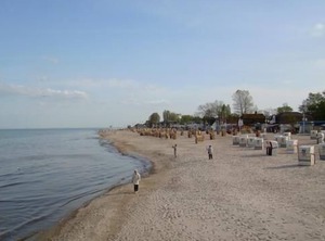 Berolina Dahme | Dahme