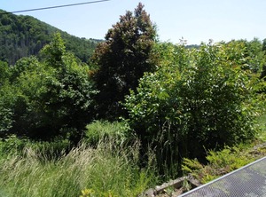 Holiday Waldbreitbach Persons | Waldbreitbach