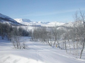 Holiday Hovet Gurostølen | Hol