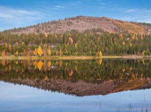 Holiday Sallanhelmi | Salla