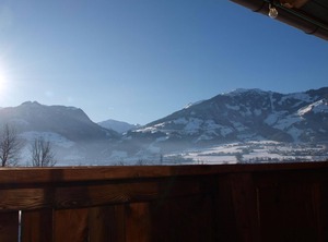 Hart | Helfenstein