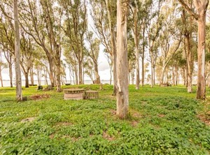 Villa Santa Giusta Garden | Santa Giusta