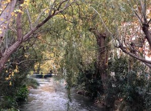 Hotel Balneario De La Virgen | Jaraba