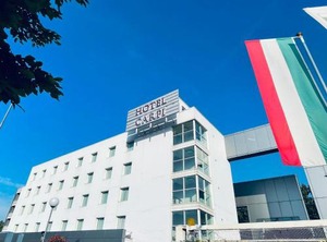 Hotel Carpi | Gargallo