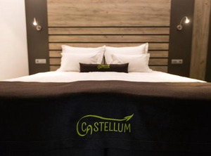 Hotel Castellum | Cakovec