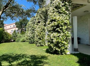 Hotel | Medjugorje