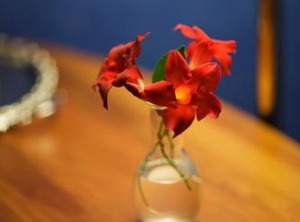Hotel Relais Filonardi | Veroli