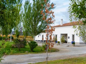 Hotel Arroyo | Jerez de los Caballeros